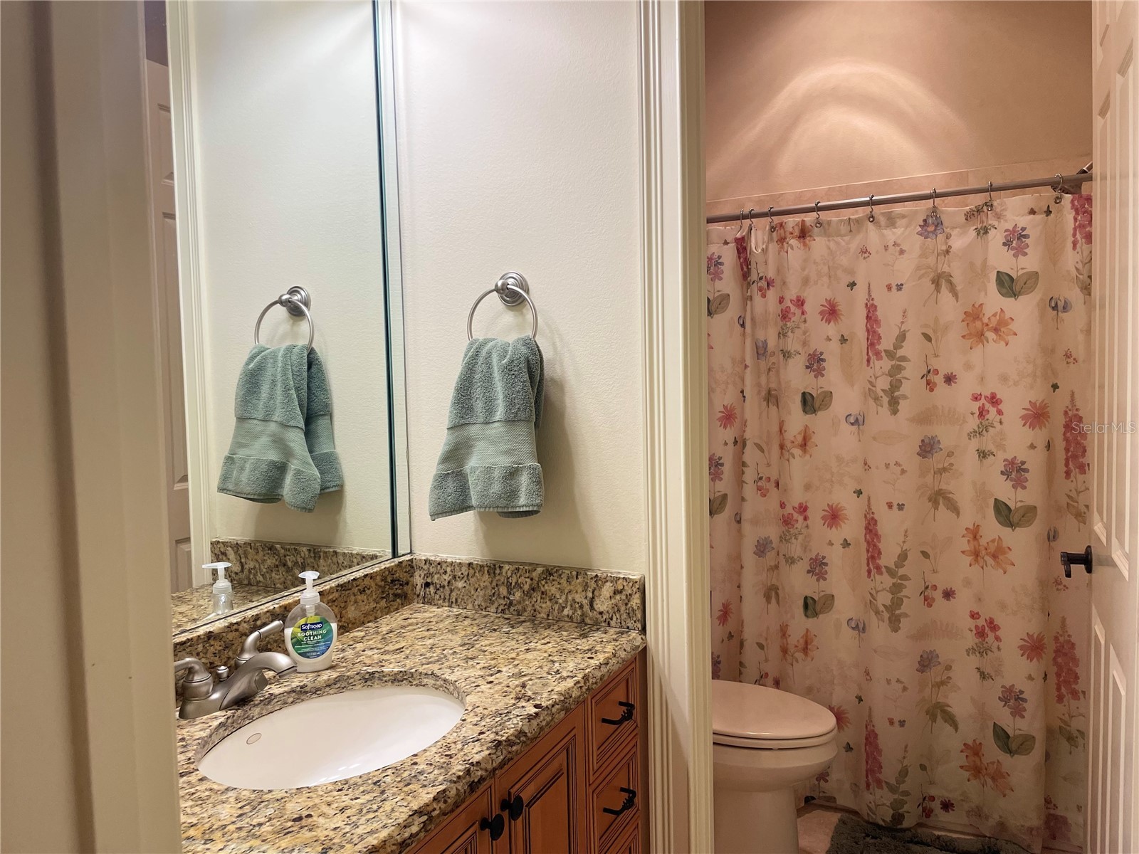 1508 Edenhall Point Lake Mary FL 32746 O6398284 image28