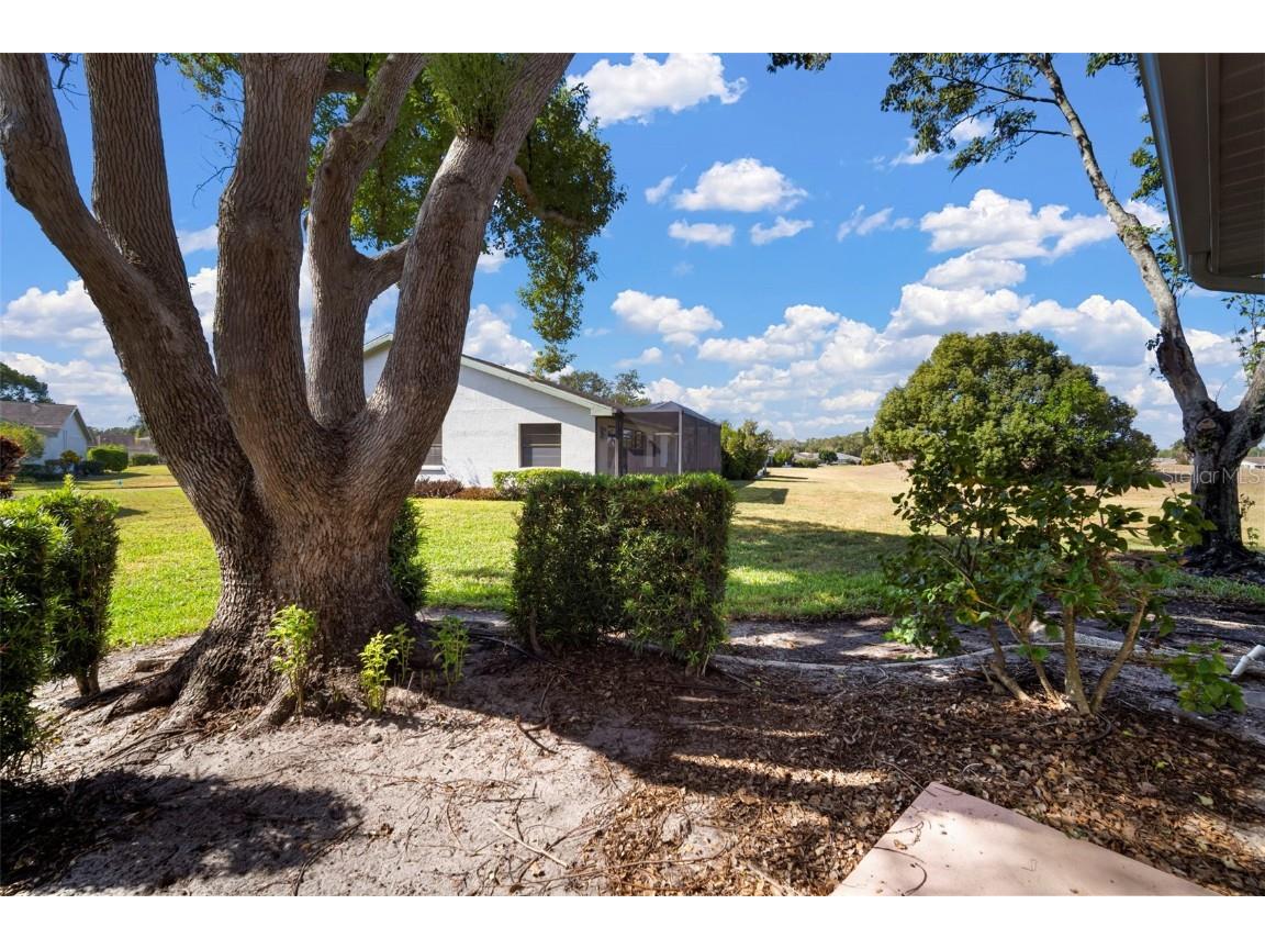 1508 Ingram Drive #20 Sun City Center FL 33573 TB8449994 image40