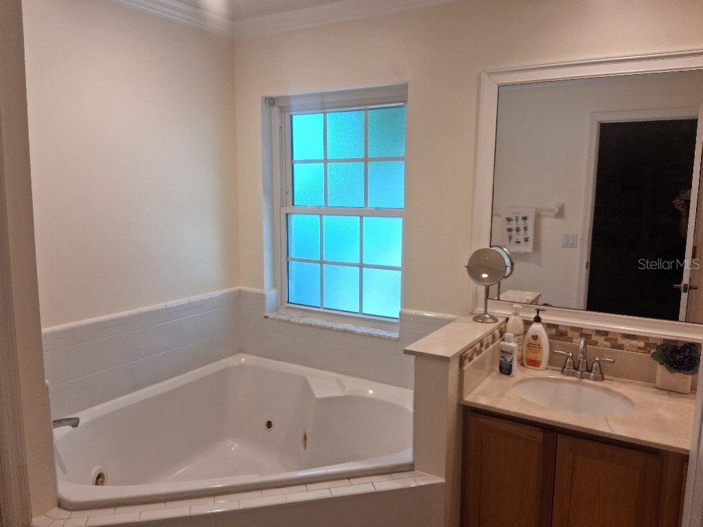 1508 Jenni Lee Court Kissimmee FL 34744 TB8508177 image13