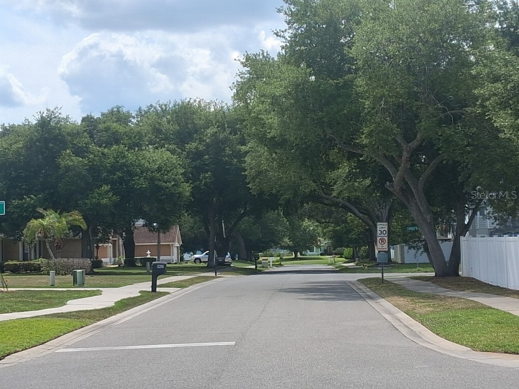 1508 Jenni Lee Court Kissimmee FL 34744 TB8508177 image4