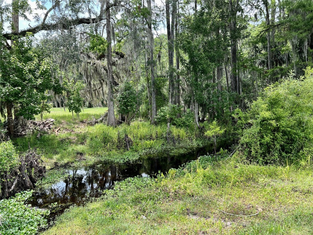 1508 Lake Mills Road Chuluota FL 32766 O6311640 image19