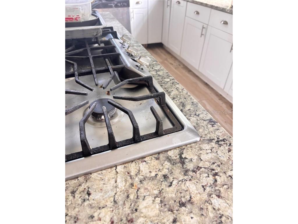 1508 N Arcadia Avenue Arcadia FL 34266 G5101755 image38