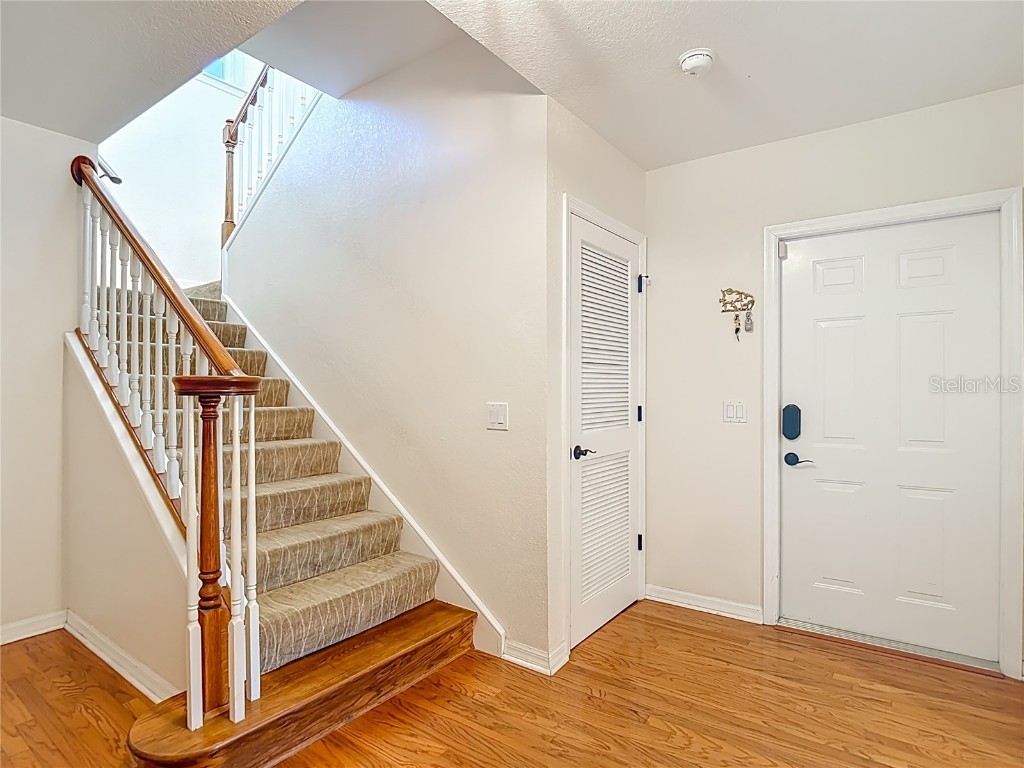 1508 Riverside Drive Tarpon Springs FL 34689 - ANCLOTE RIVER TO GULF OF AMERI TB8441410 image42