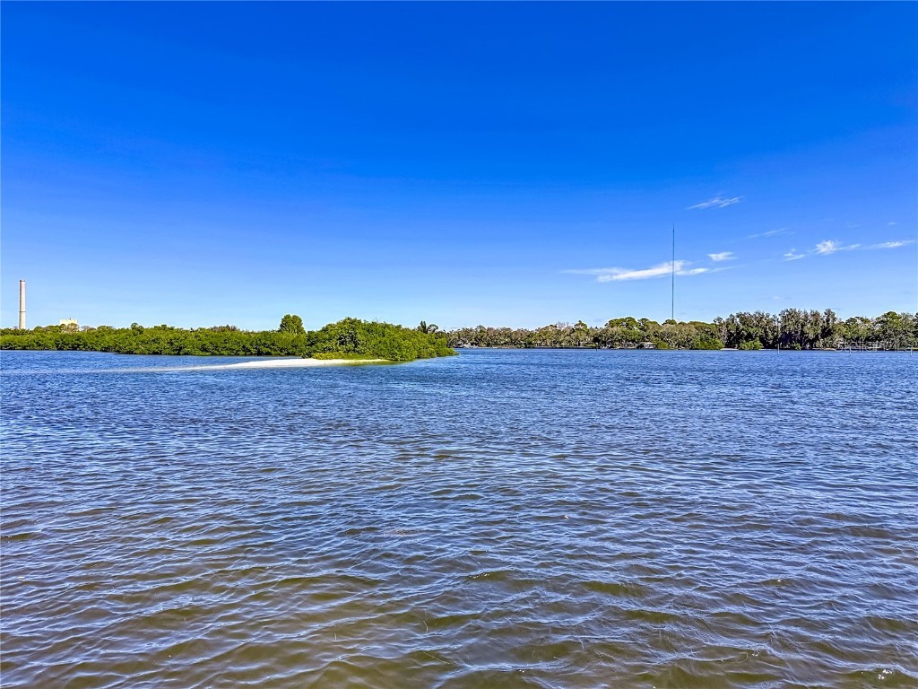 1508 Riverside Drive Tarpon Springs FL 34689 - ANCLOTE RIVER TO GULF OF AMERI TB8441410 image67