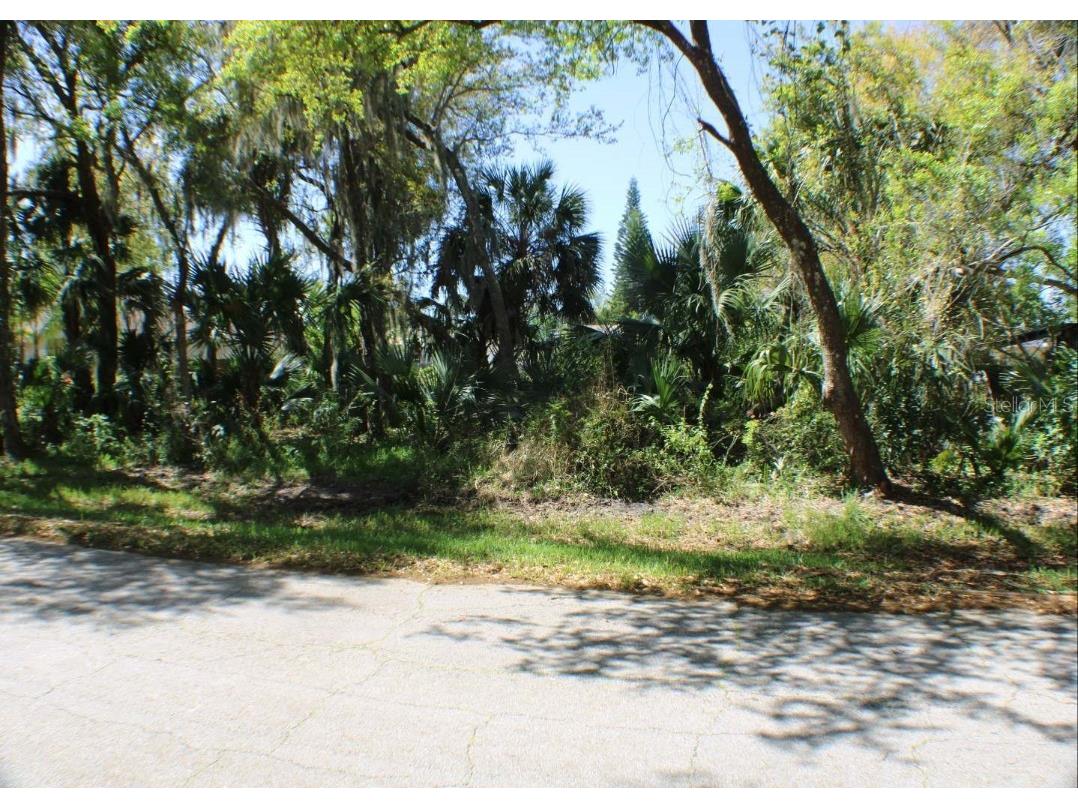 1508 Sabal Palm Drive Edgewater FL 32132 NS1080884 image1