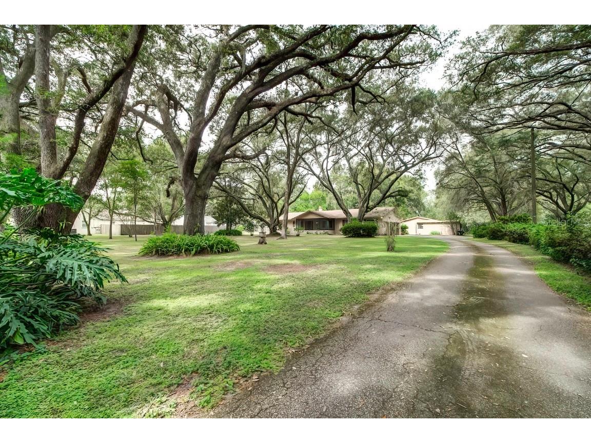 1508 Touchton Road Lutz FL 33549 T3481988 image1