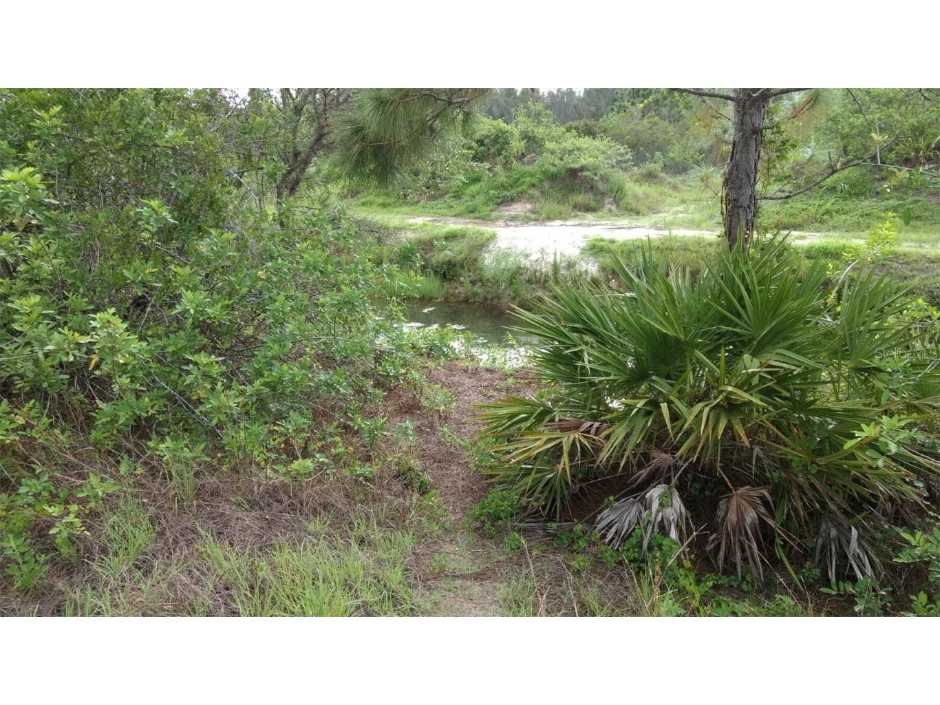 1508 Washington Avenue Lehigh Acres FL 33972 O6249167 image2