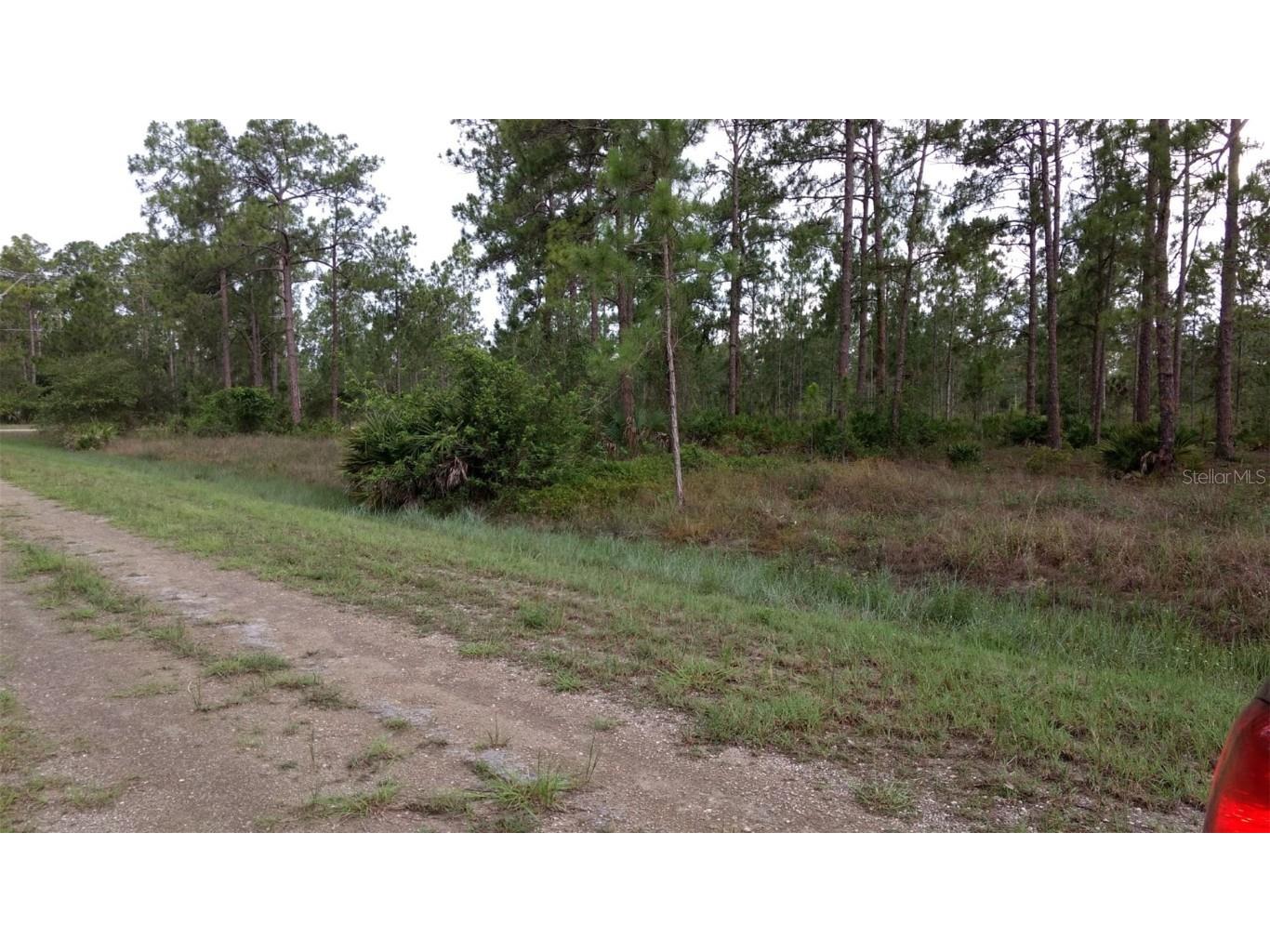 1508 Washington Avenue Lehigh Acres FL 33972 O6249167 image5