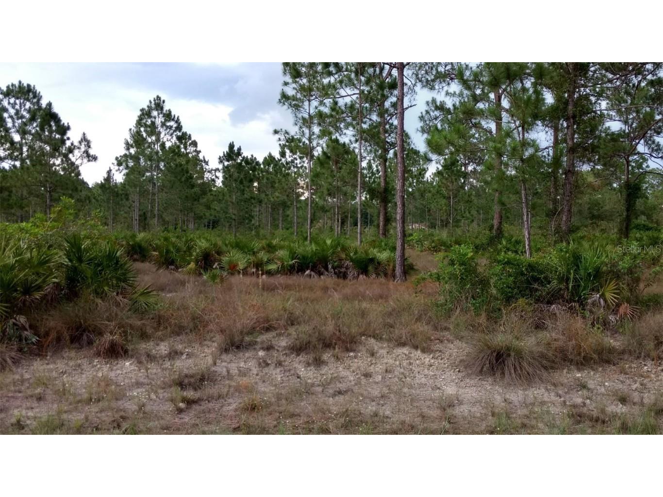 1508 Washington Avenue Lehigh Acres FL 33972 O6249167 image6