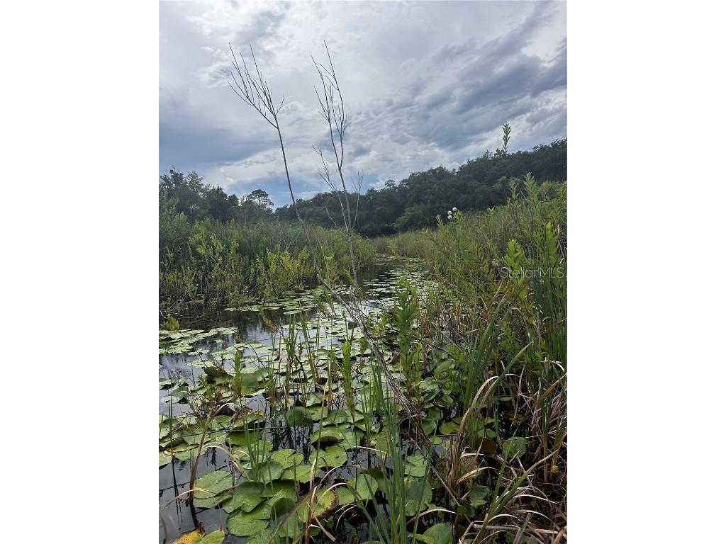 15080 NE 242nd Avenue Salt Springs FL 32134 - LITTLE LAKE KERR OM712484 image10