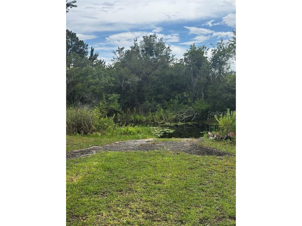 15080 NE 242nd Avenue Salt Springs FL 32134 - LITTLE LAKE KERR OM712484 image3
