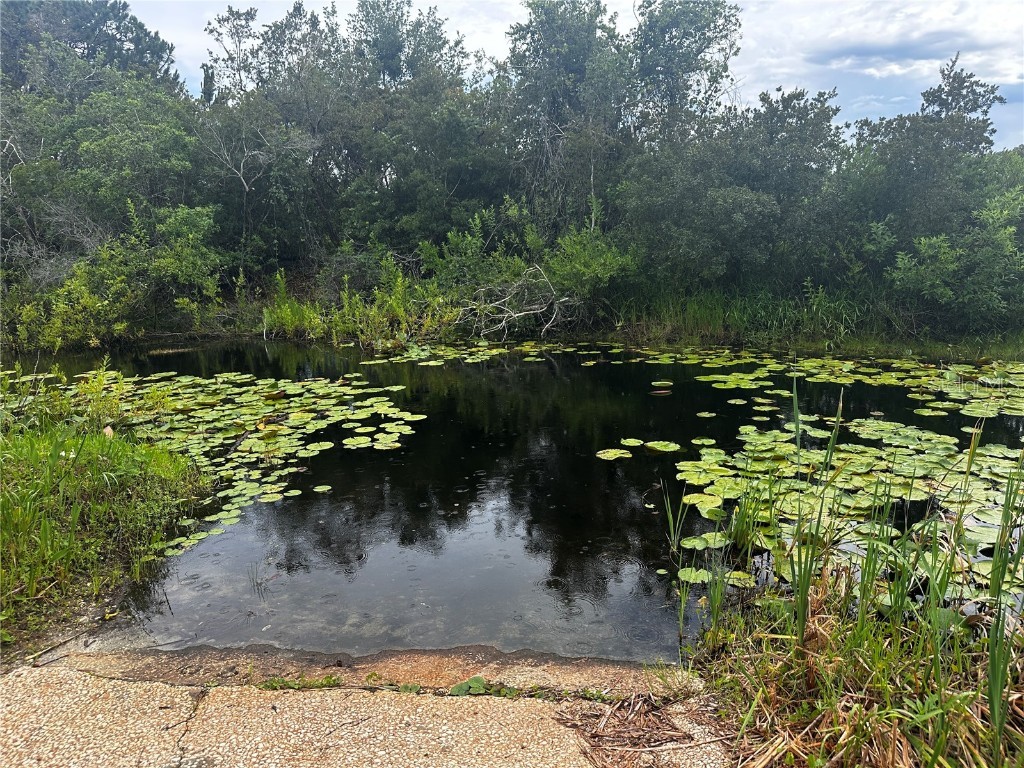 15080 NE 242nd Avenue Salt Springs FL 32134 - LITTLE LAKE KERR OM712484 image4