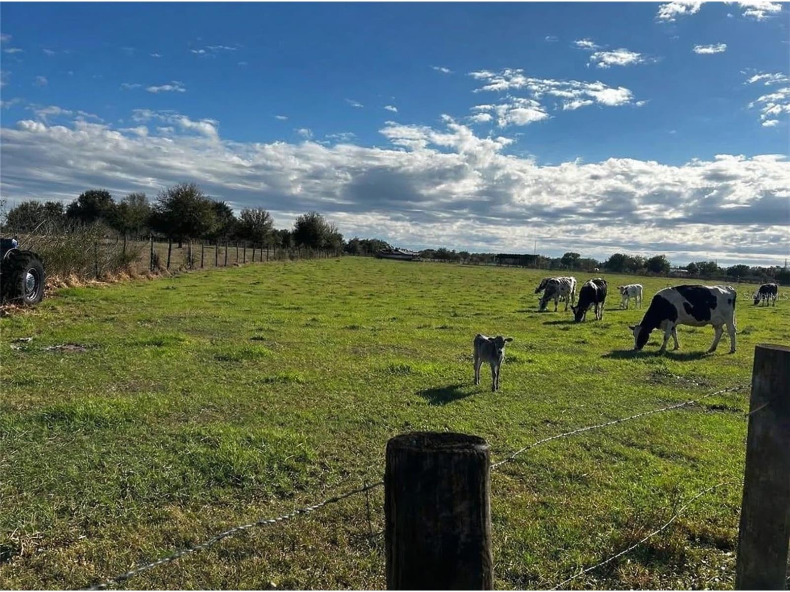 15080 NW 12th Terrace Okeechobee FL 34972 C7521067 image12