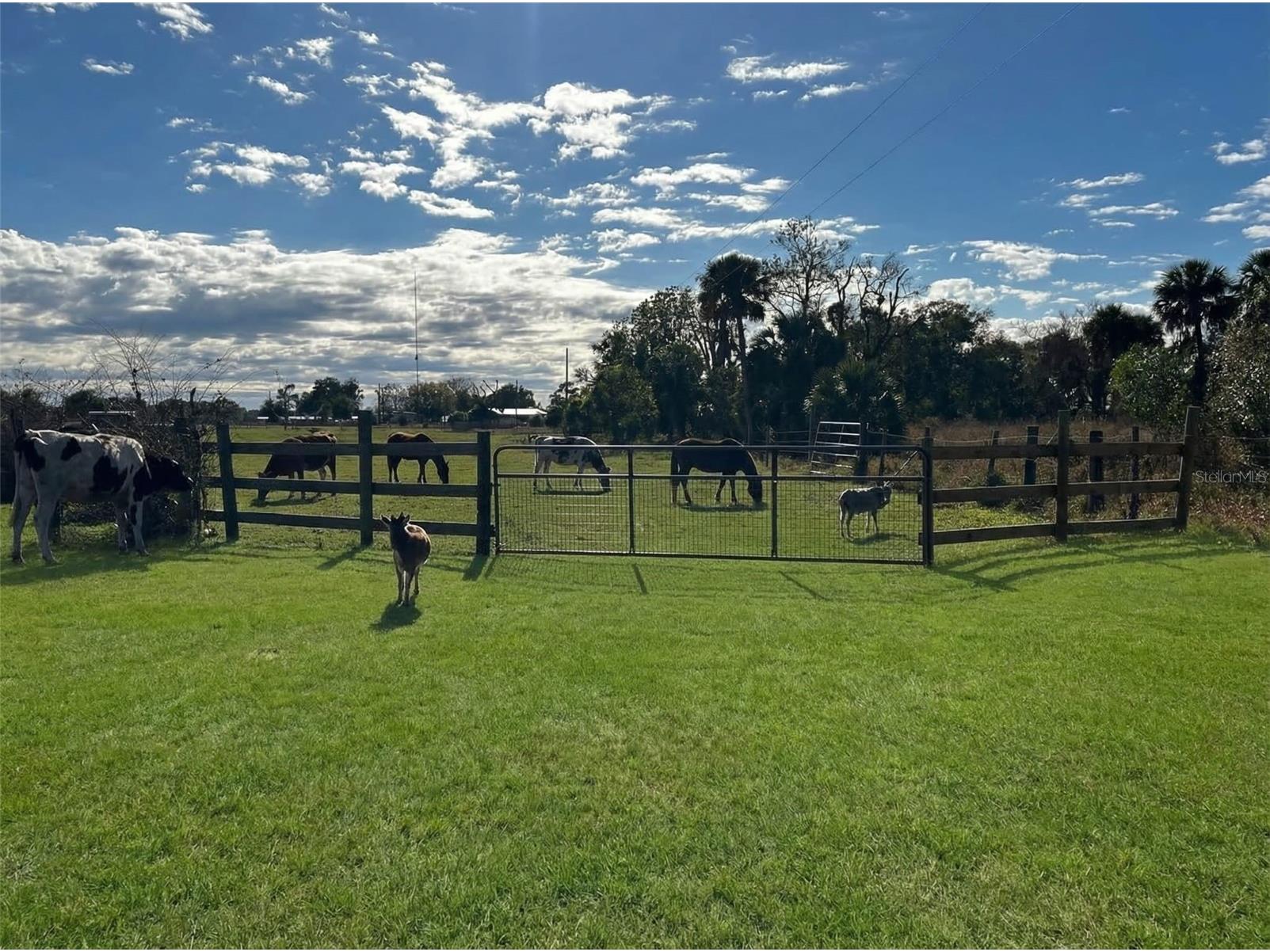 15080 NW 12th Terrace Okeechobee FL 34972 C7521067 image13