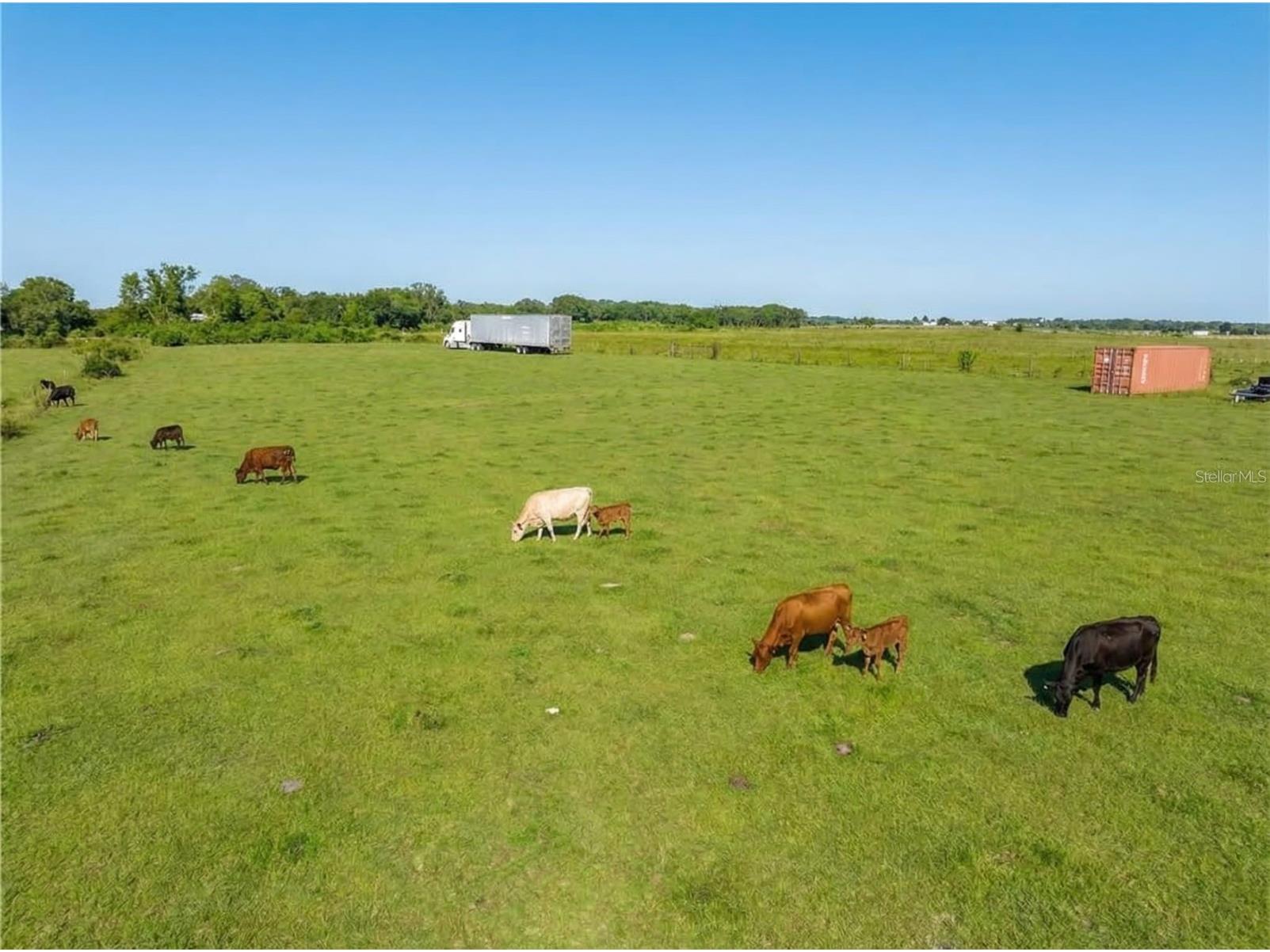 15080 NW 12th Terrace Okeechobee FL 34972 C7521067 image14