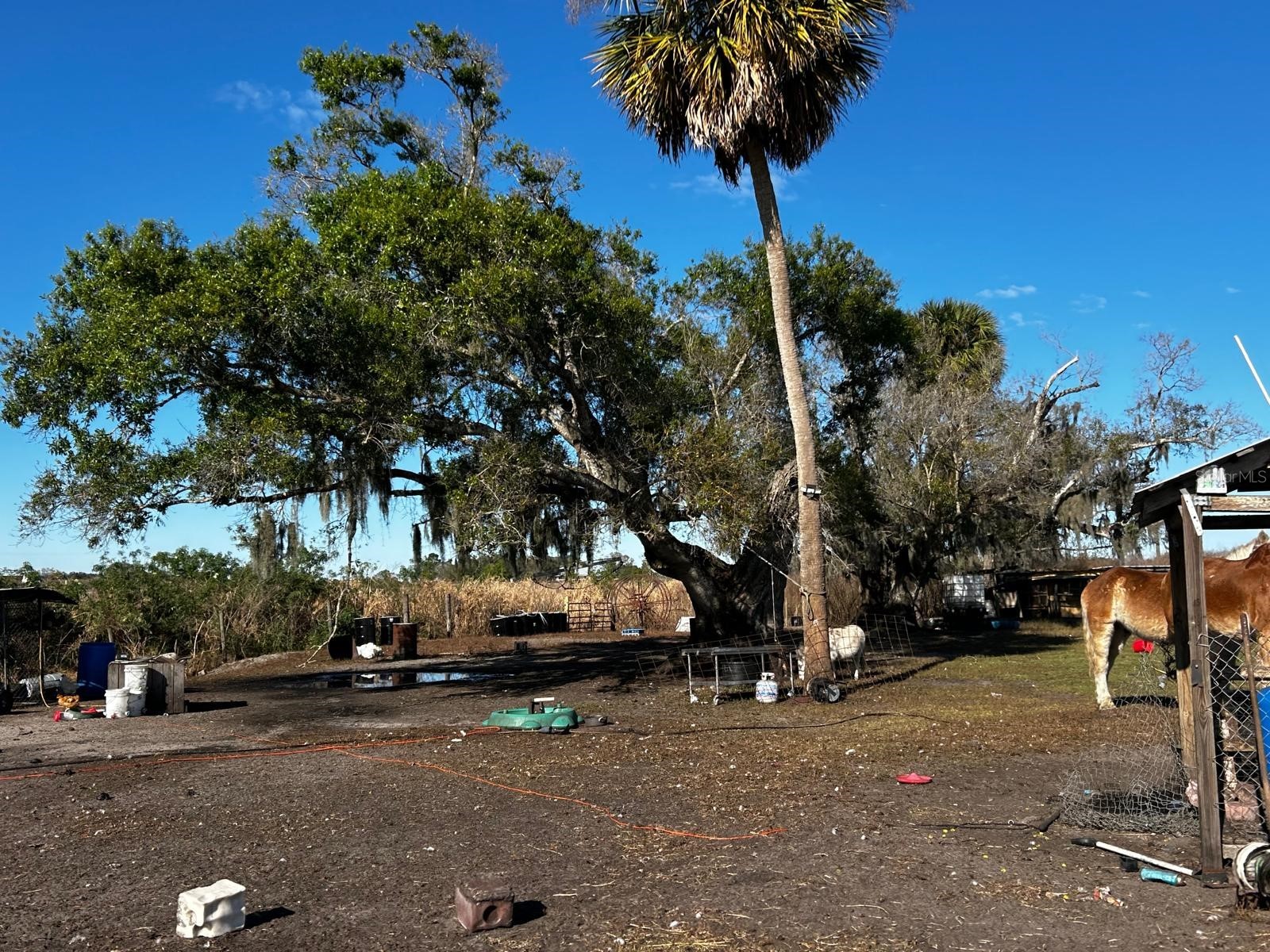 15080 NW 12th Terrace Okeechobee FL 34972 C7521067 image23