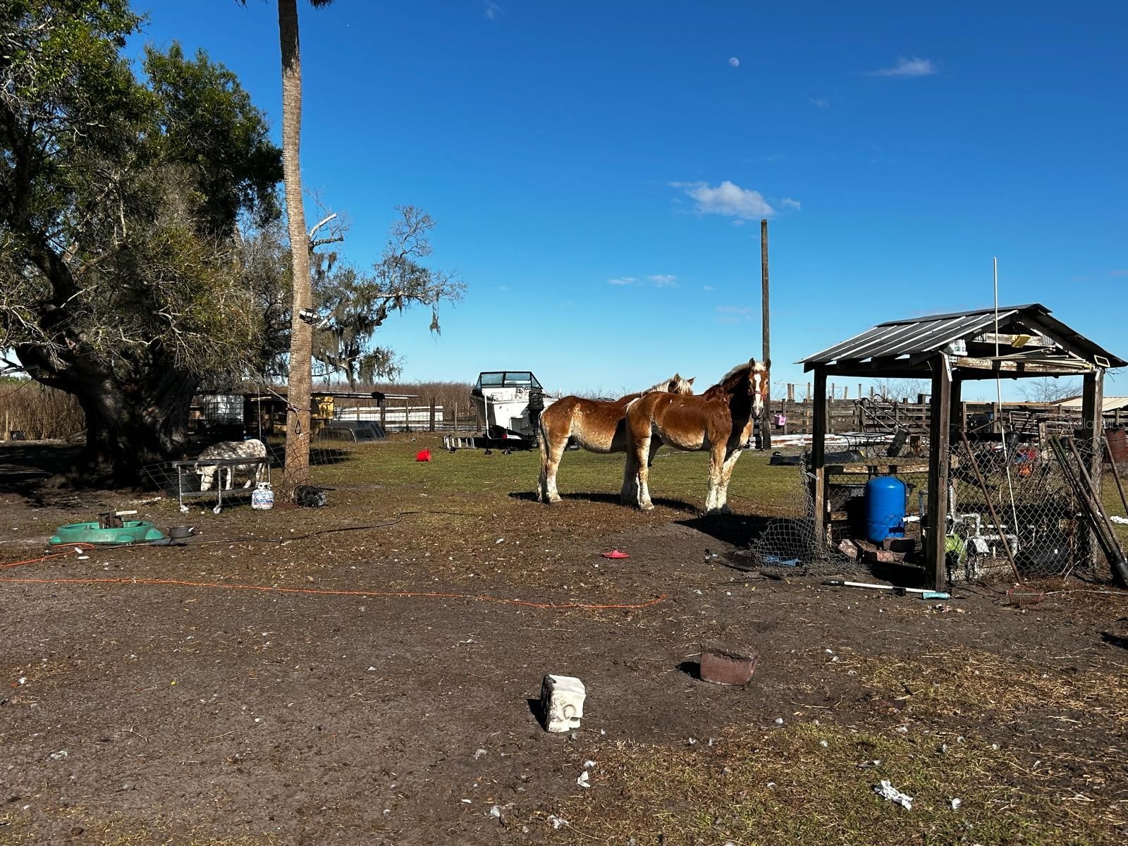 15080 NW 12th Terrace Okeechobee FL 34972 C7521067 image24