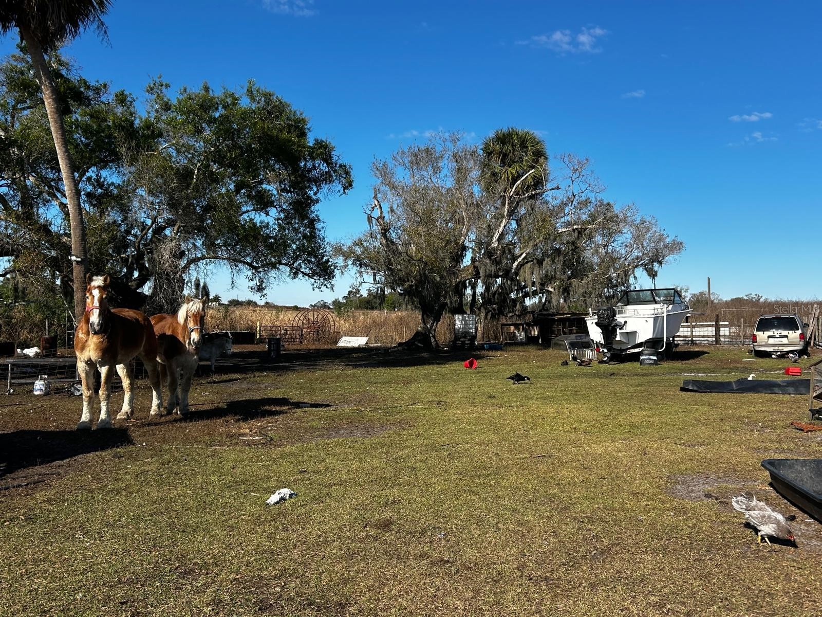 15080 NW 12th Terrace Okeechobee FL 34972 C7521067 image29