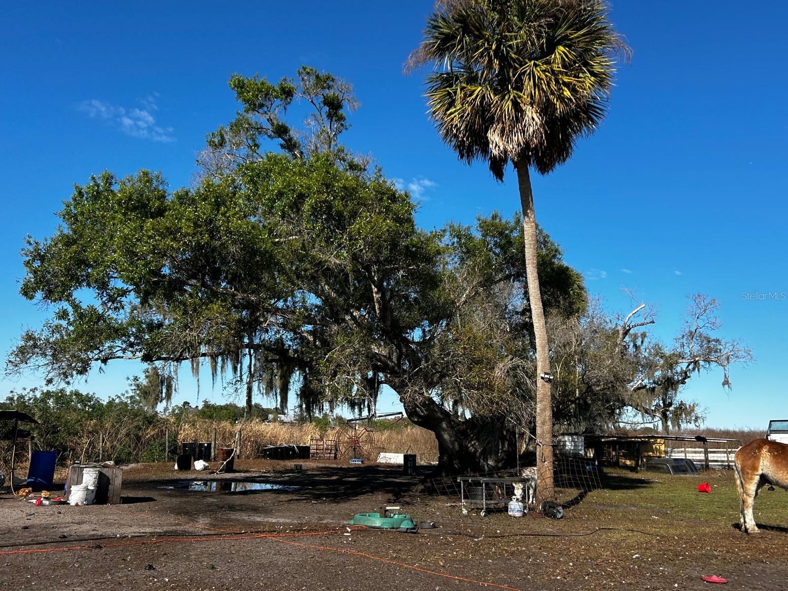 15080 NW 12th Terrace Okeechobee FL 34972 C7521067 image30