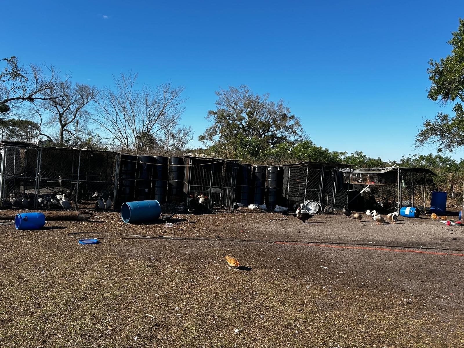 15080 NW 12th Terrace Okeechobee FL 34972 C7521067 image31