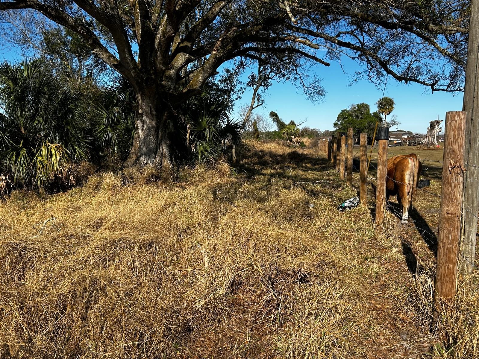 15080 NW 12th Terrace Okeechobee FL 34972 C7521067 image34