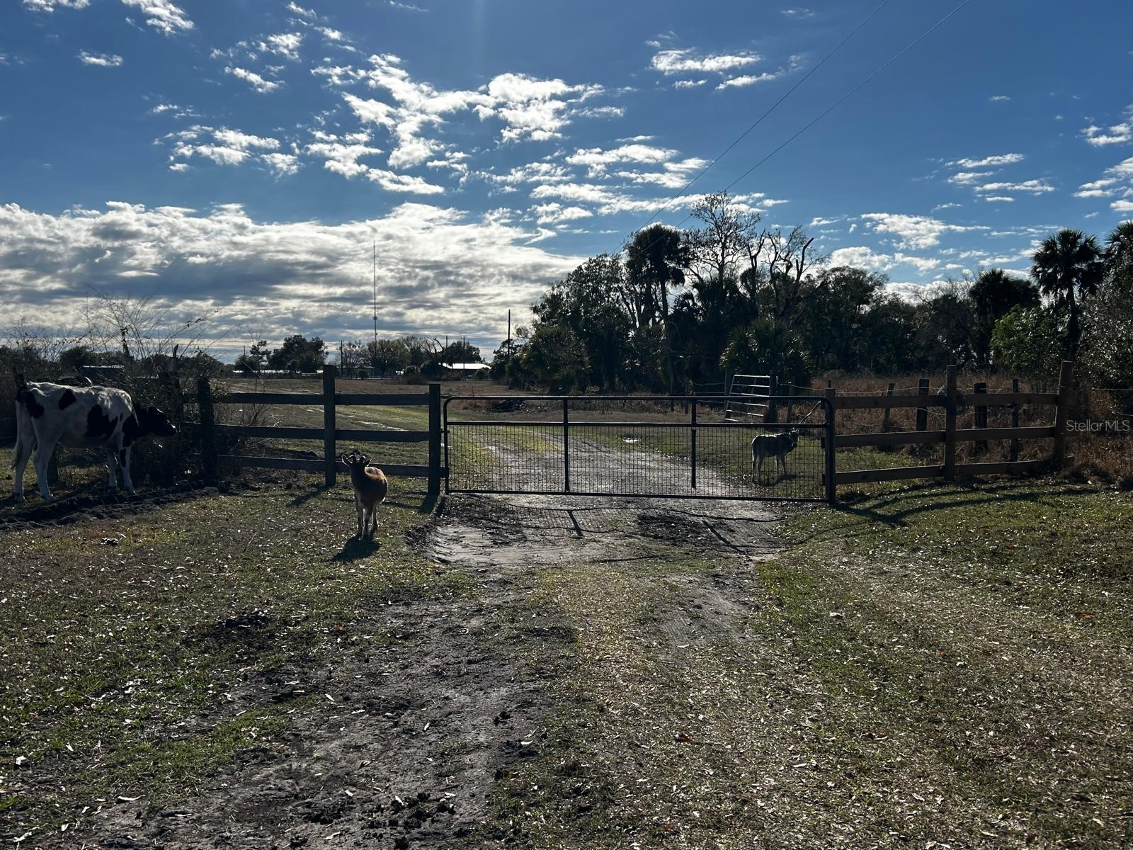 15080 NW 12th Terrace Okeechobee FL 34972 C7521067 image35