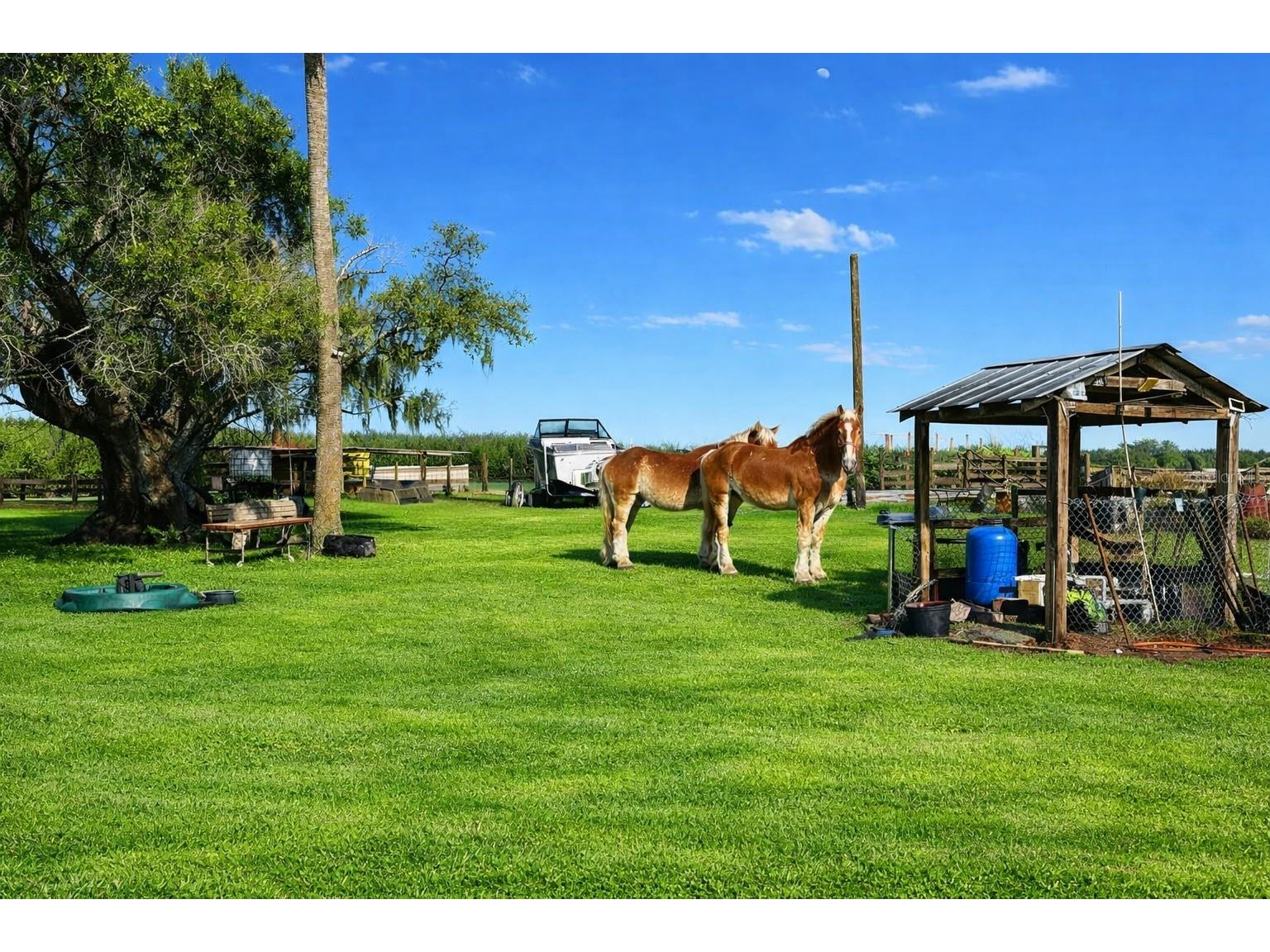 15080 NW 12th Terrace Okeechobee FL 34972 C7521067 image4