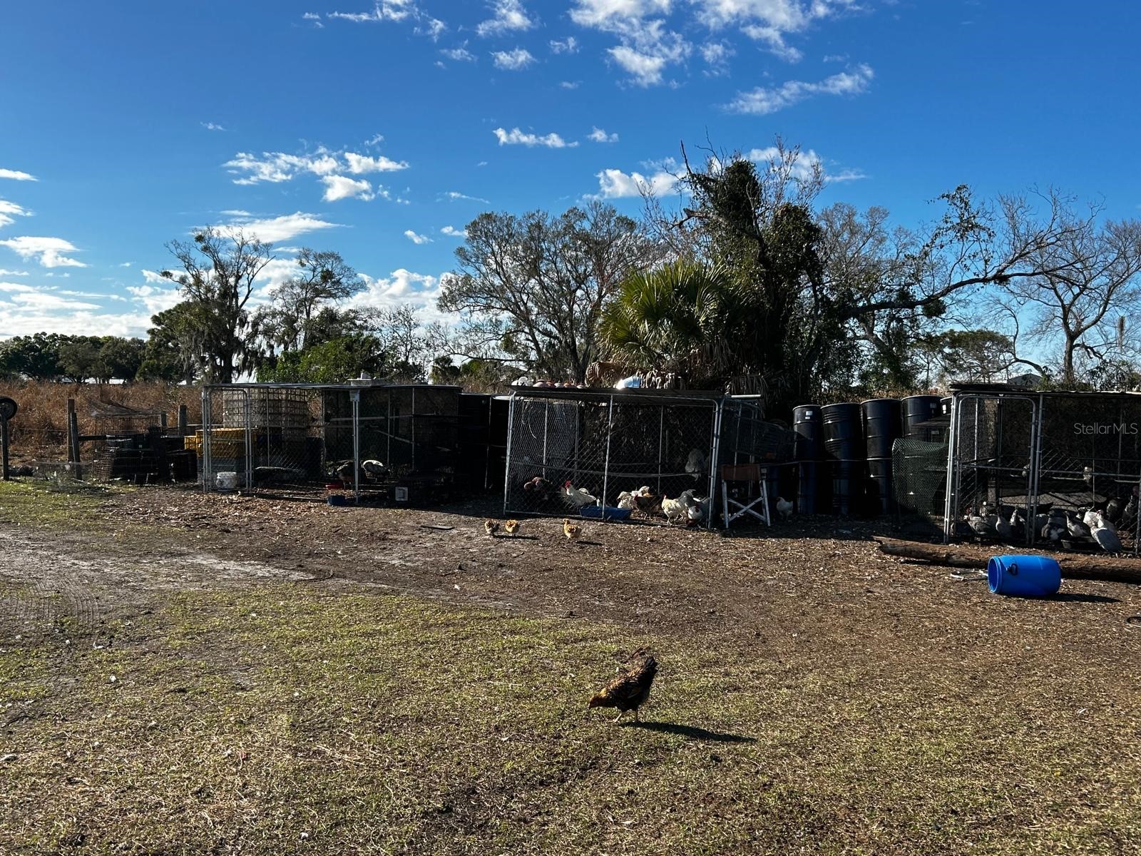 15080 NW 12th Terrace Okeechobee FL 34972 C7521067 image40