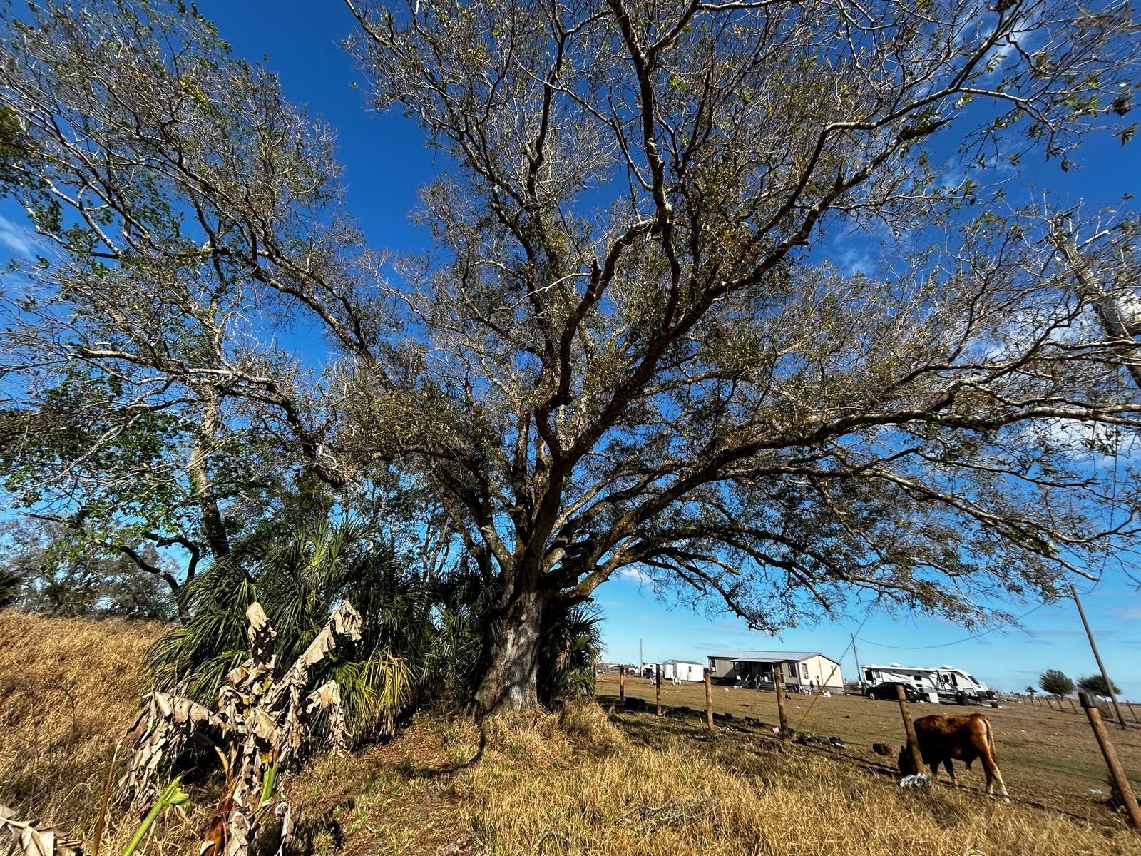 15080 NW 12th Terrace Okeechobee FL 34972 C7521067 image47