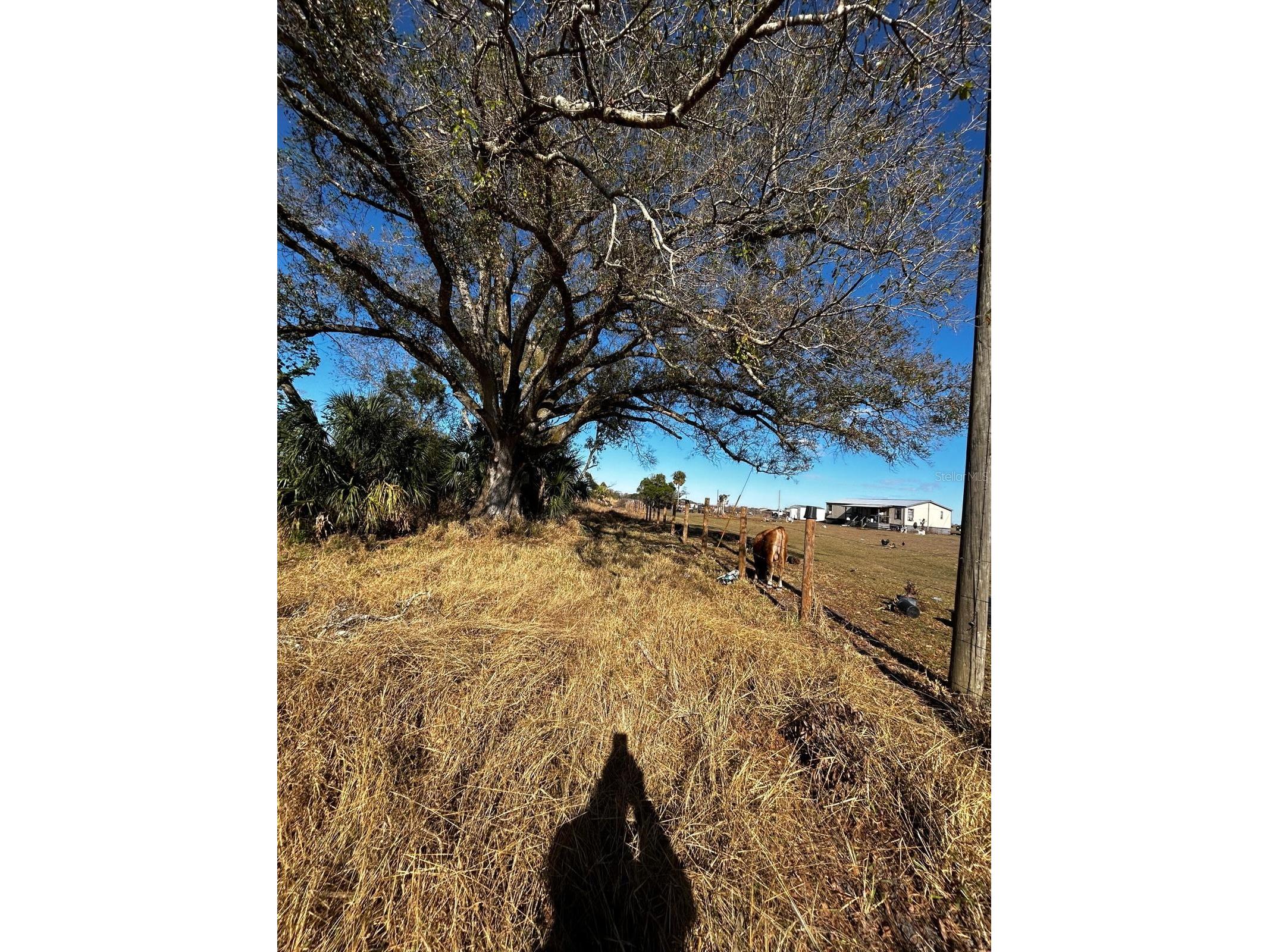 15080 NW 12th Terrace Okeechobee FL 34972 C7521067 image48