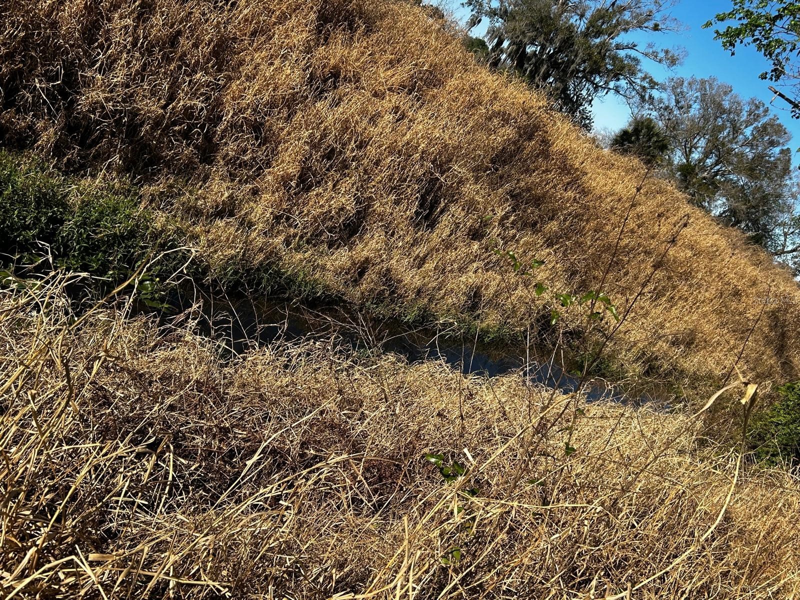 15080 NW 12th Terrace Okeechobee FL 34972 C7521067 image49