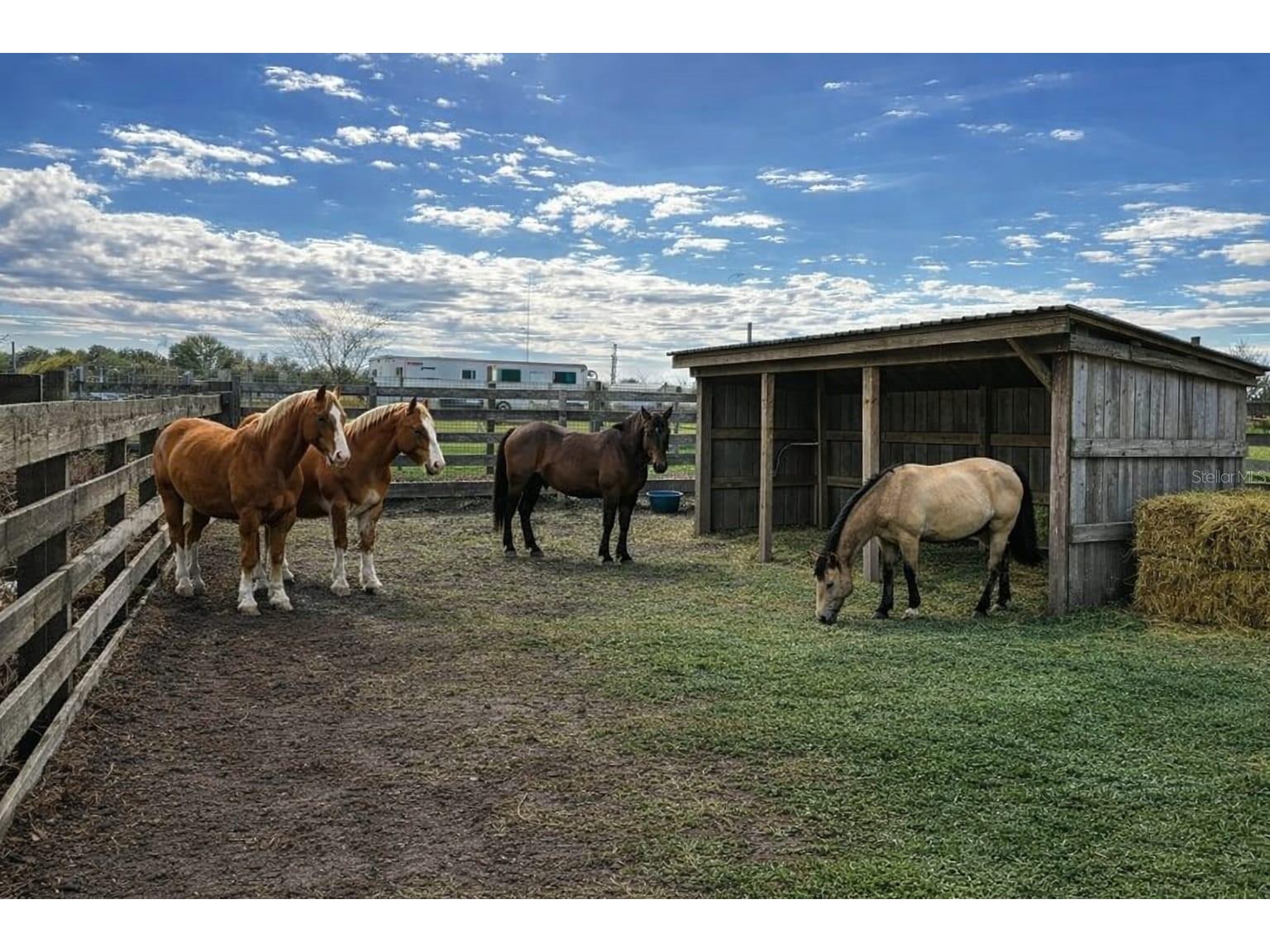 15080 NW 12th Terrace Okeechobee FL 34972 C7521067 image50