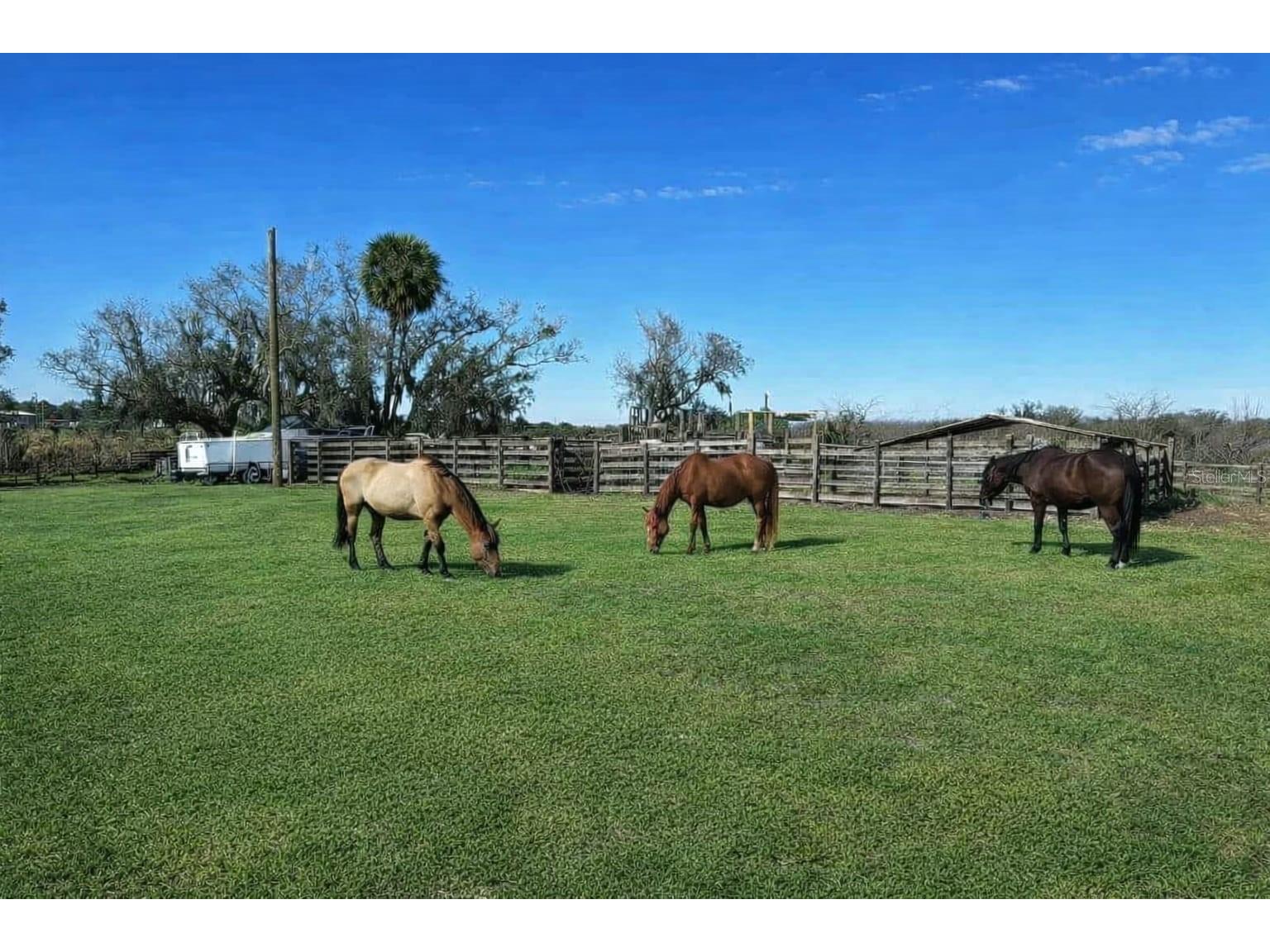 15080 NW 12th Terrace Okeechobee FL 34972 C7521067 image7