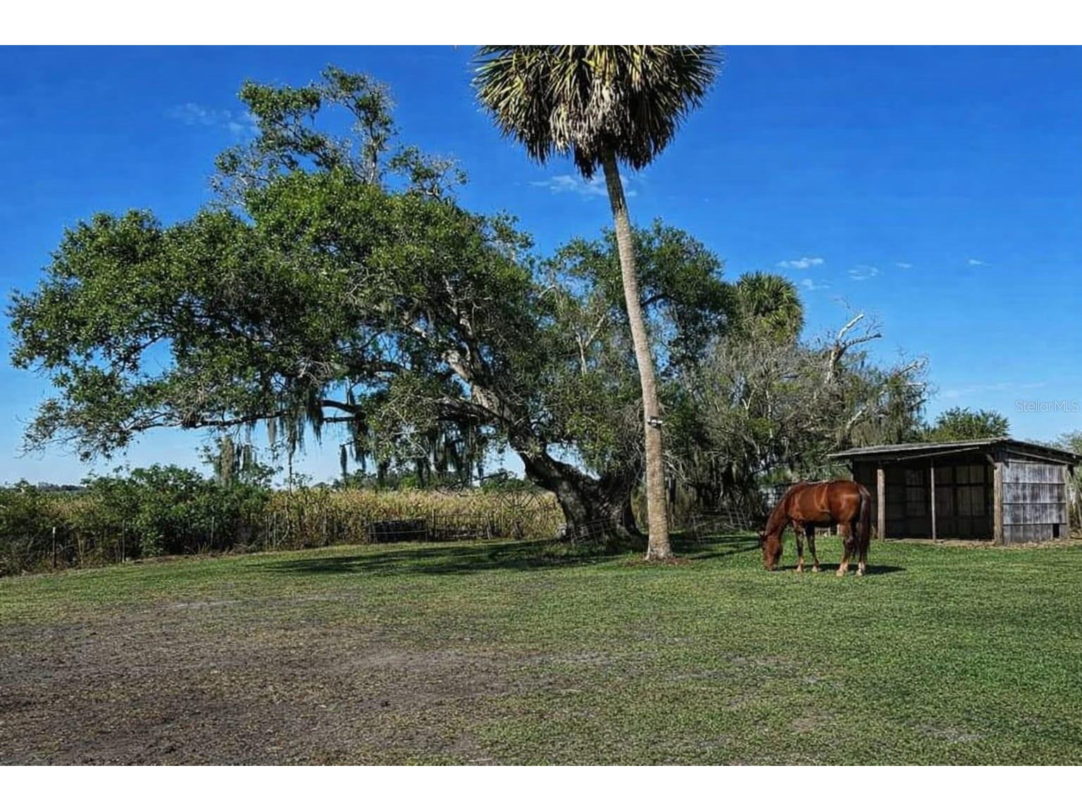 15080 NW 12th Terrace Okeechobee FL 34972 C7521067 image8