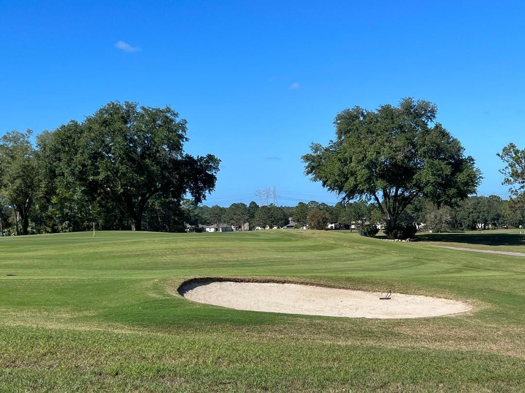 15080 Rialto Avenue Brooksville FL 34613 TB8507566 image42