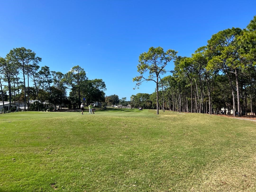 15080 Rialto Avenue Brooksville FL 34613 TB8507566 image48