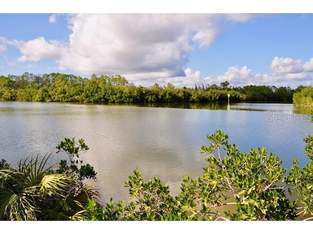 15080 Spanish Point Drive Port Charlotte FL 33981 - BUTTERFORD WATERWAY C7519611 image82