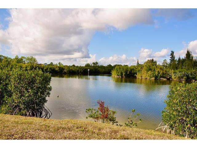 15080 Spanish Point Drive Port Charlotte FL 33981 - BUTTERFORD WATERWAY C7519611 image83