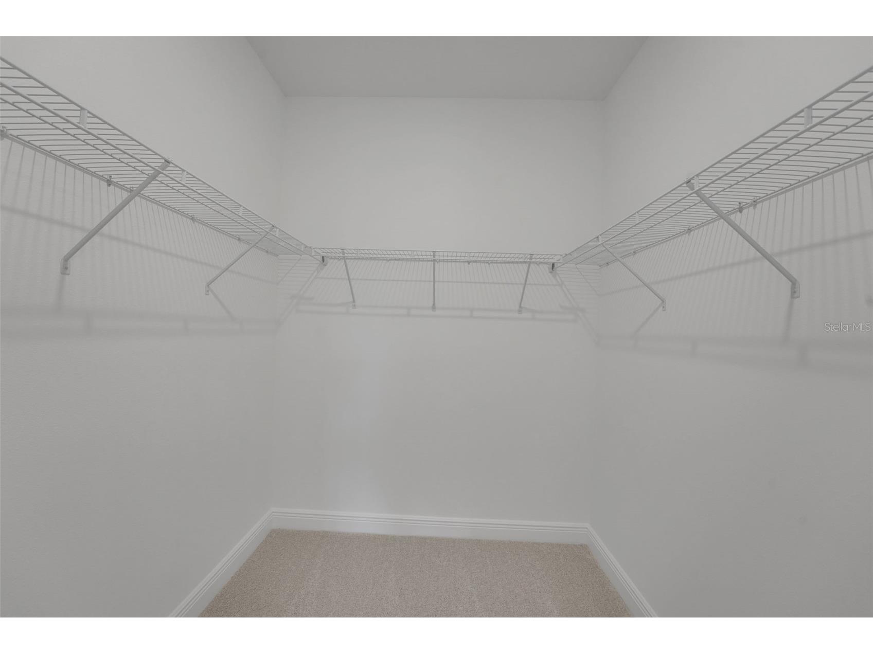 15081 Tea Tree Drive Winter Garden FL 34787 G5112081 image35
