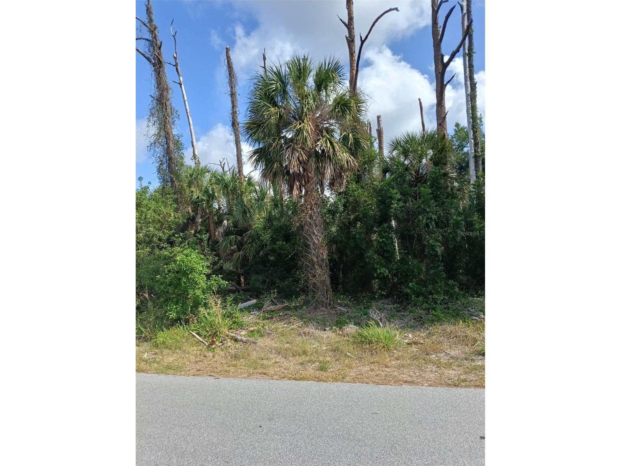 15082 Community Avenue Port Charlotte FL 33953 TB8507157 image3