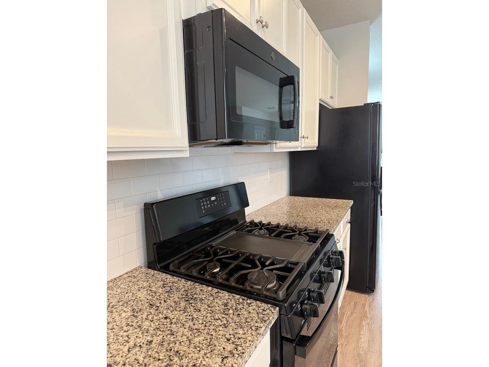 15084 Caravan Avenue Odessa FL 33556 TB8510897 image10