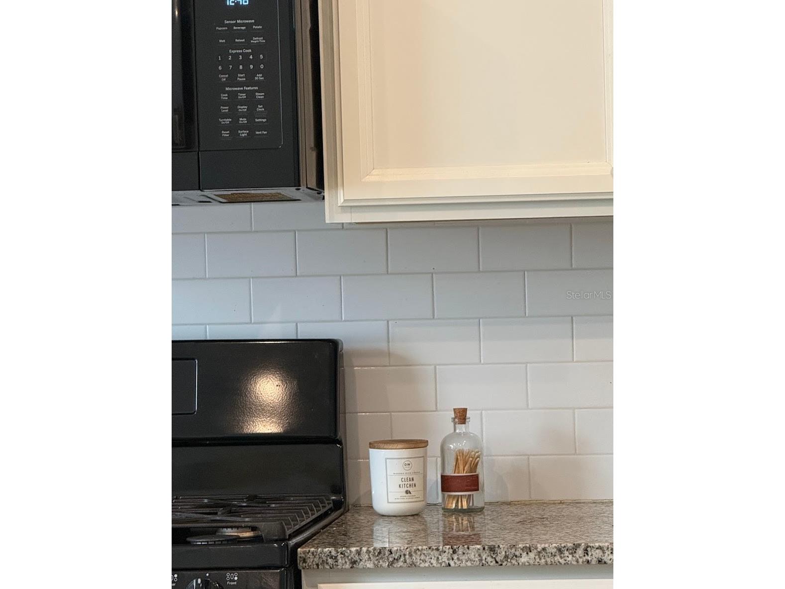 15084 Caravan Avenue Odessa FL 33556 TB8510897 image8