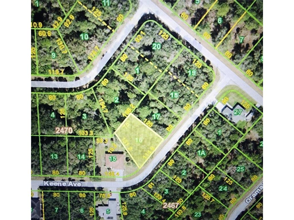 15086 Keene Avenue Port Charlotte FL 33953 D6131612 image1