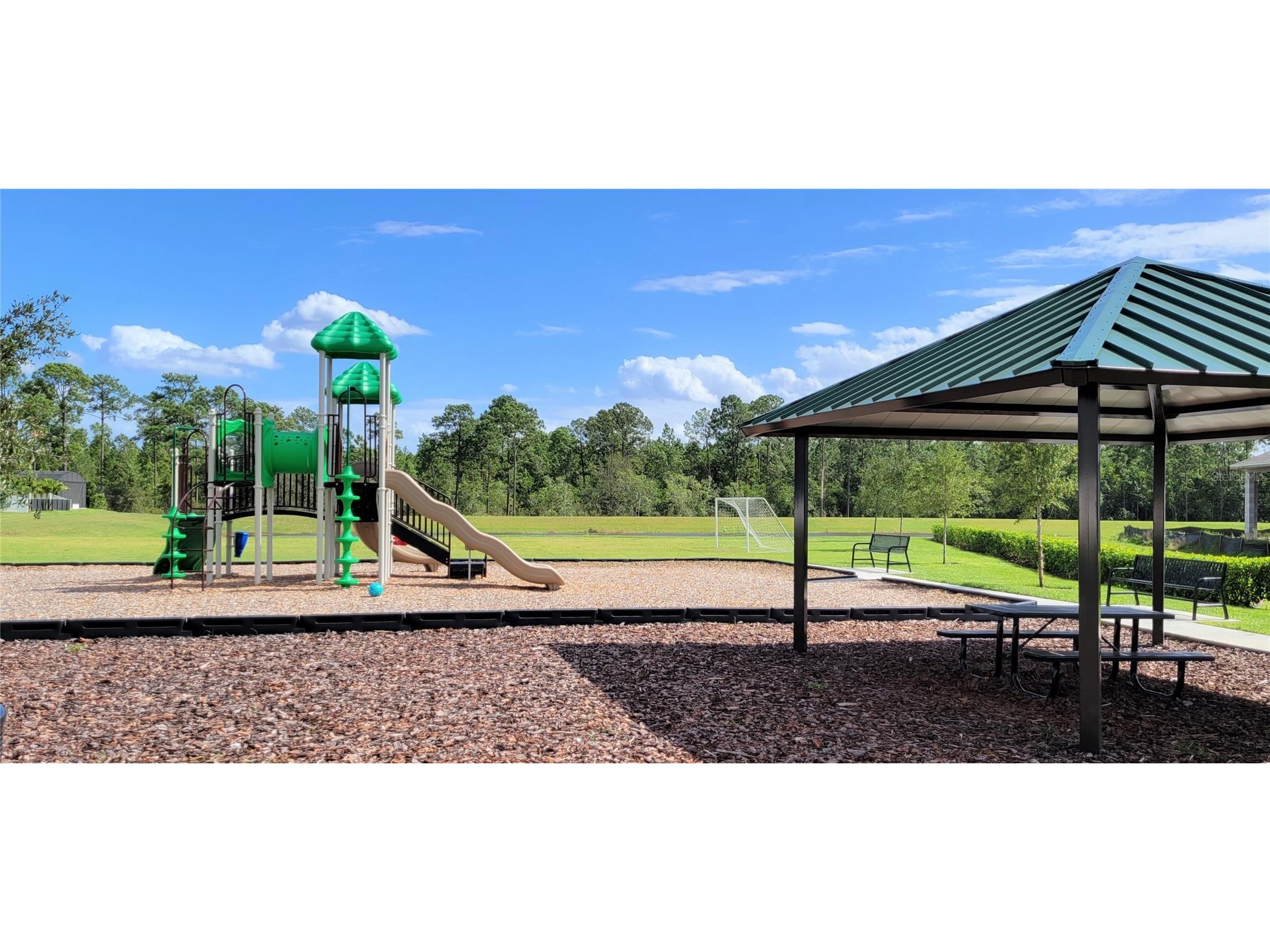 15086 Lebeau Loop Winter Garden FL 34787 O6408906 image32