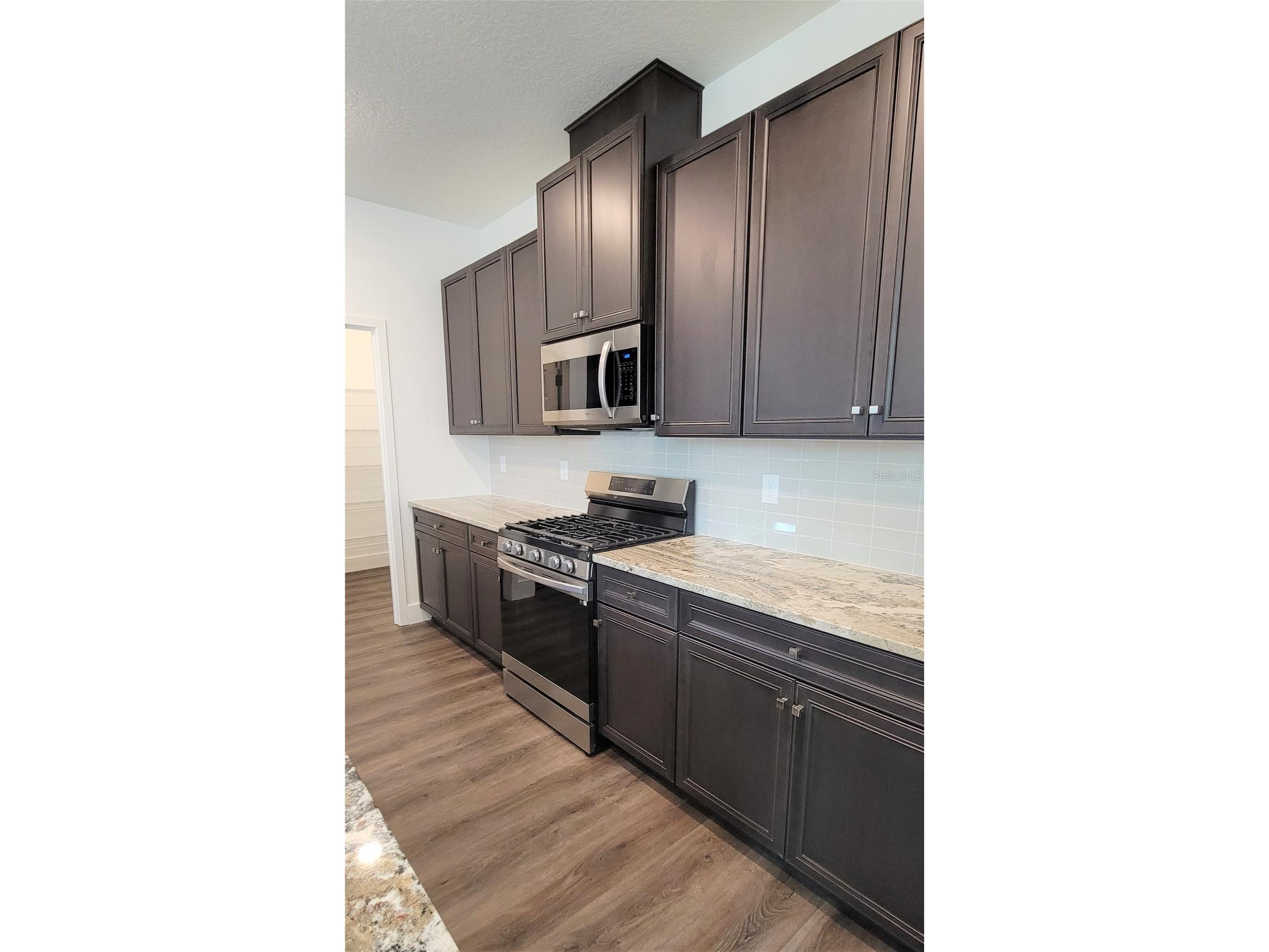 15086 Lebeau Loop Winter Garden FL 34787 O6408906 image4