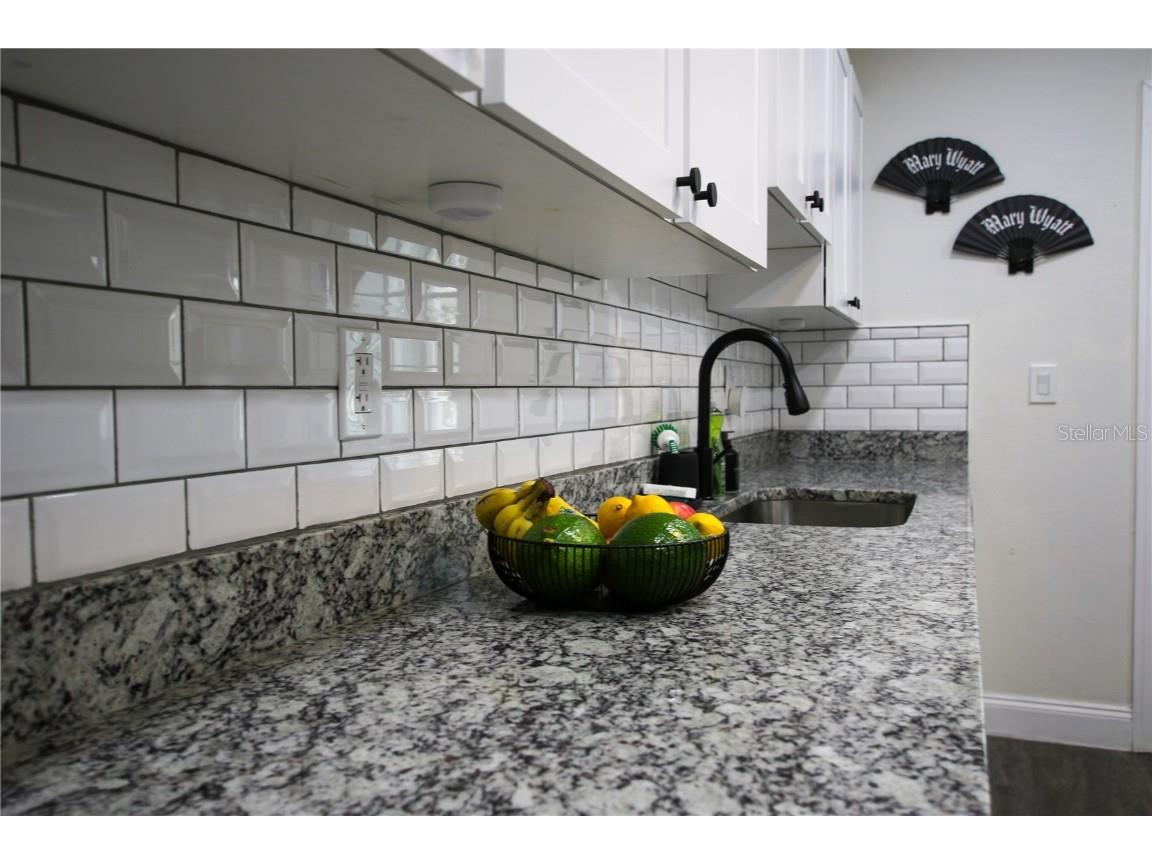 1509 E Mcberry Street Tampa FL 33610 TB8438851 image19