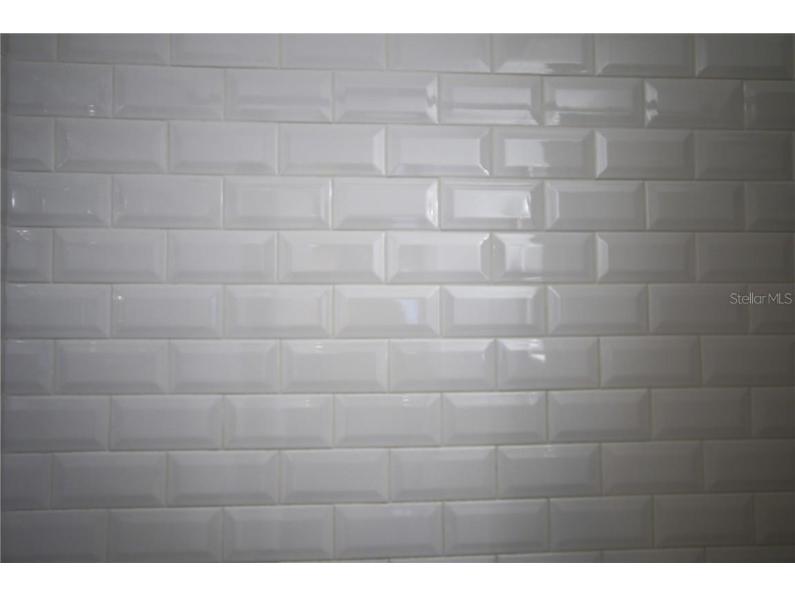 1509 E Mcberry Street Tampa FL 33610 TB8438851 image28