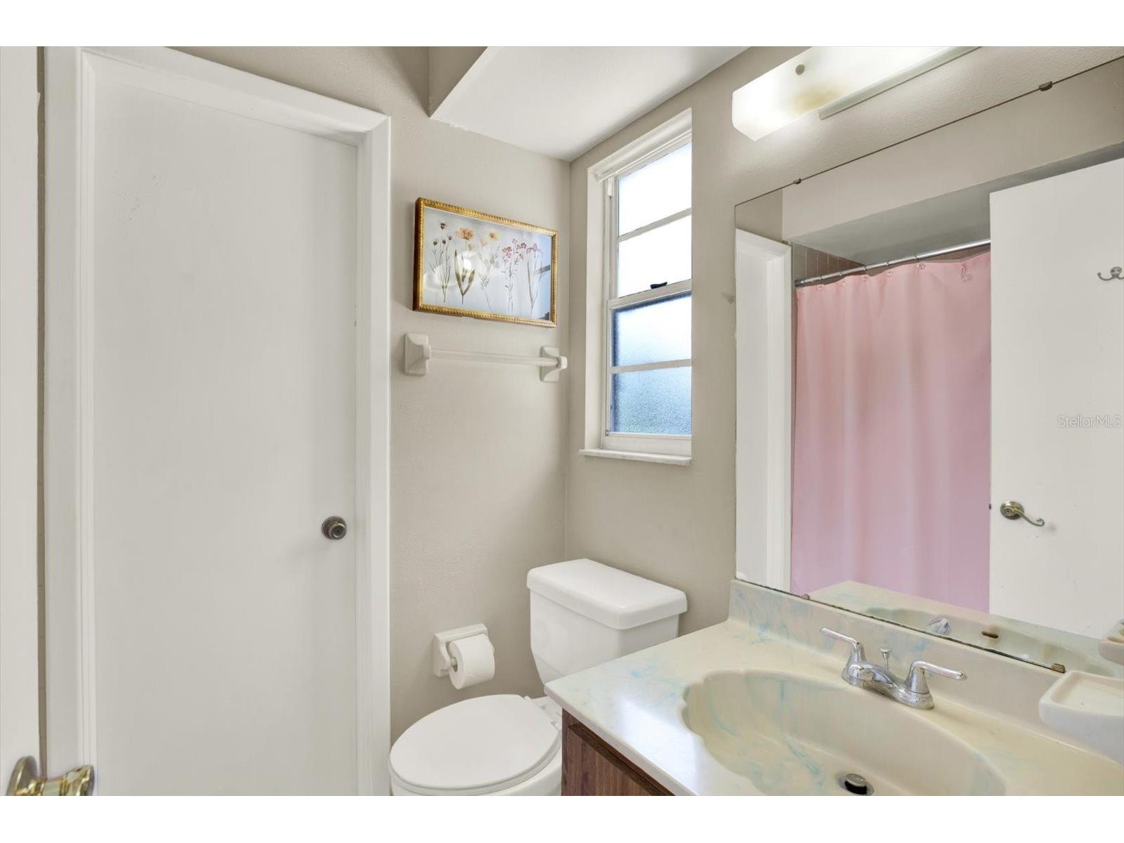 1509 Foggy Ridge Parkway Lutz FL 33559 TB8508187 image33