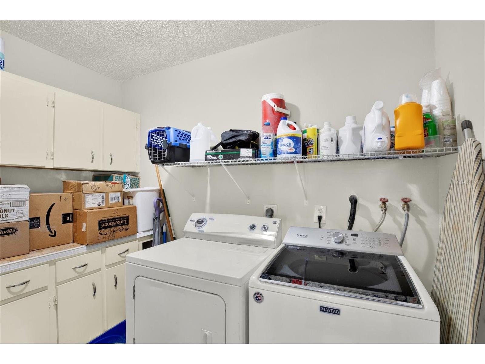 1509 Foggy Ridge Parkway Lutz FL 33559 TB8508187 image44