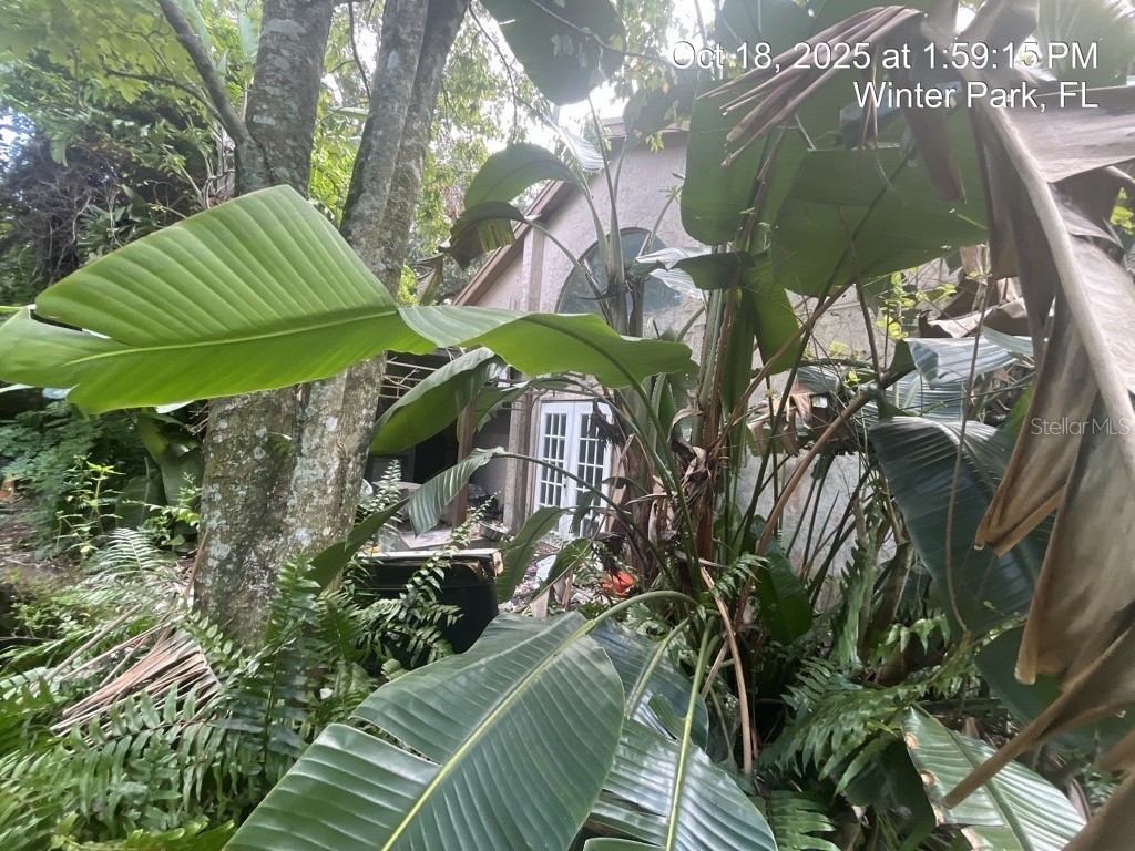 1509 Sugarwood Circle Winter Park FL 32792 O6353841 image1